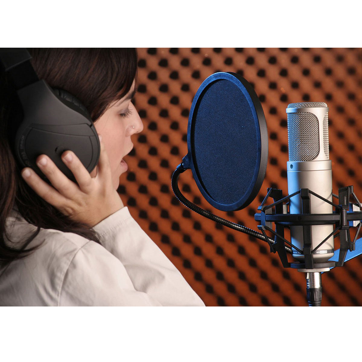 Rode K2 Variable-Pattern Tube Microphone (Gold)