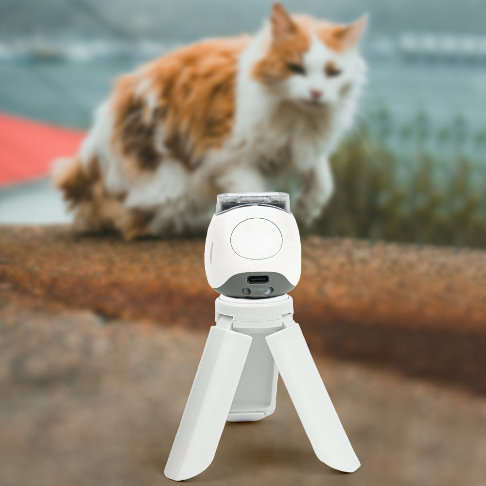 Zikkon Mini Tripod for Fujifilm Instax Mini Evo/99/PAL/70/LOMO Instant Camera (White)