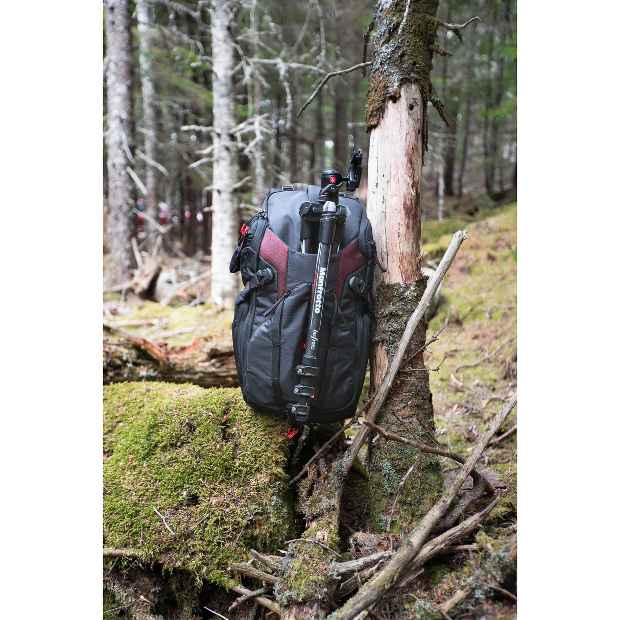 Manfrotto Pro Light 3N1-26 Camera Backpack (Black)