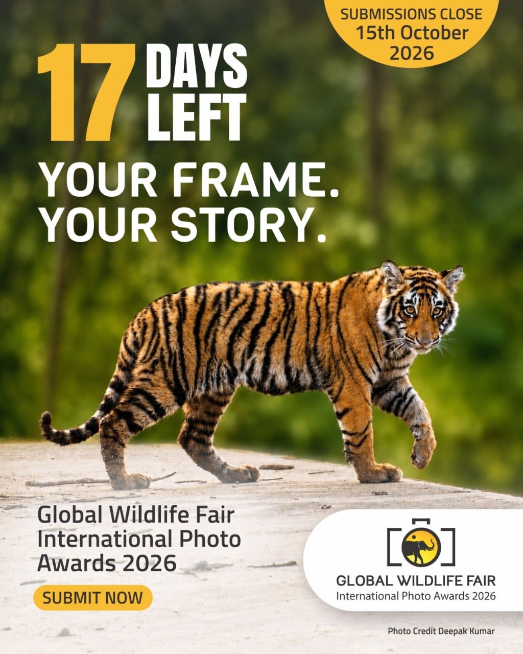 🌍📸 Global Wildlife Fair International Photo Awards 2026