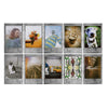 Fujifilm Instax Mini 10X1 Stone Gray Instant Film